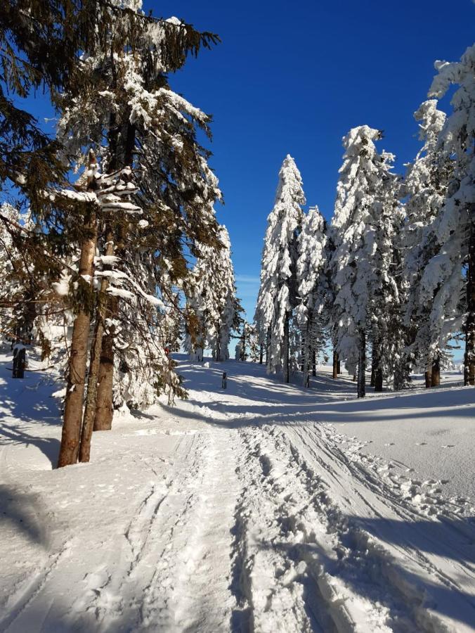 Chata góralska Wojtasówka Kamesznica Exterior foto